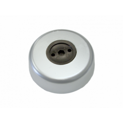 DISC FOR TRANSOM (PZ)