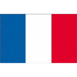FRANCE FLAG (PZ)