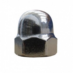 HEXAGON DOMED CUP NUTS (PZ)