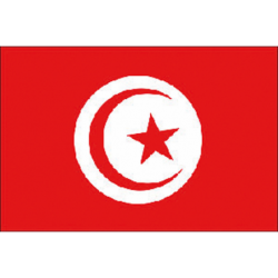 TUNISIA FLAG (PZ)
